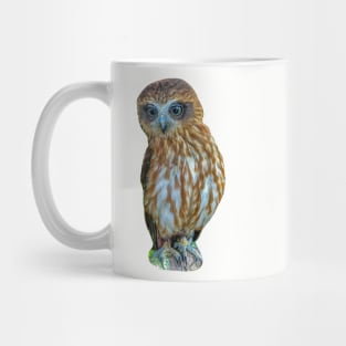 Cute Boobook owl Mug